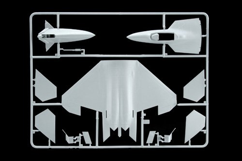 F-22 RAPTOR (Italeri 1:72)