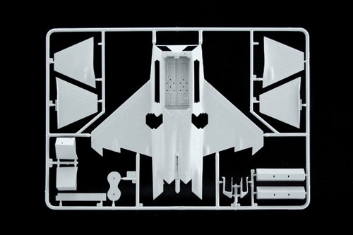 F-22 RAPTOR (Italeri 1:72)