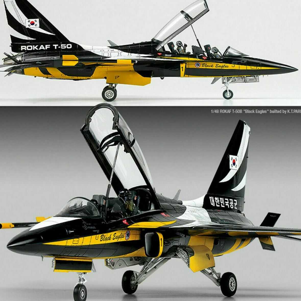 T-50B Black Eagles 1:48
