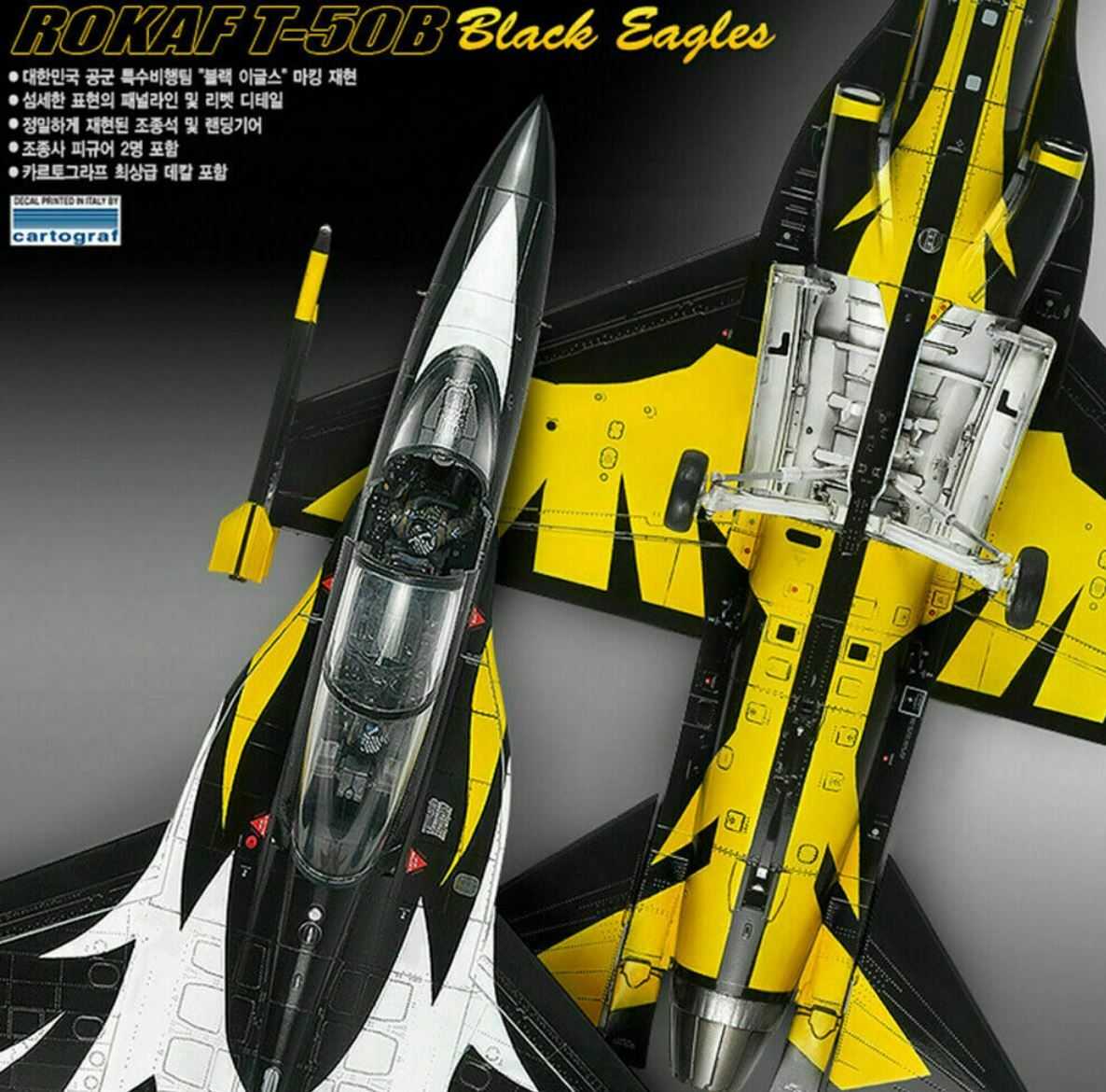 T-50B Black Eagles 1:48