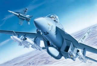 Boeing F-A-18E SUPER HORNET (Italeri 1:72) 